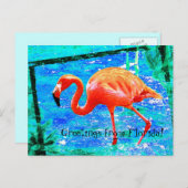 Funky roze Florida flamingo briefkaart (Voorkant / Achterkant)