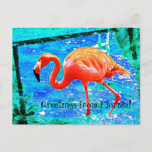 Funky roze Florida flamingo briefkaart (Voorkant)