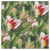 Funky Spring Tulip Stof (Close Up)
