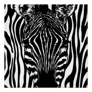 Funky Zebra Perfect Poster