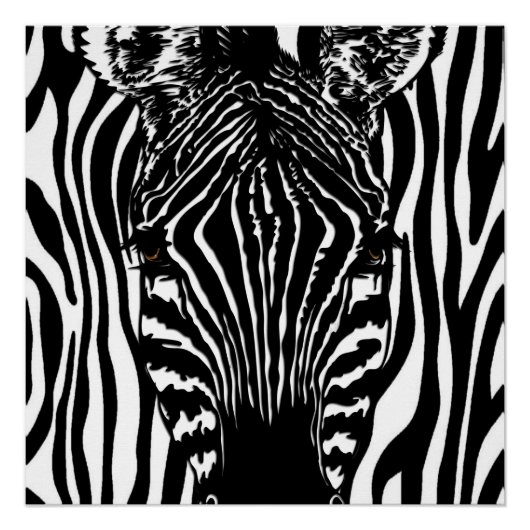 Funky Zebra Perfect Poster (Voorkant)