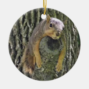 Funn Squirrel kerstversiering Keramisch Ornament