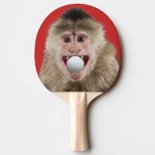 Funnige aap met tweekleppige mond met bal in mond tafeltennisbatje