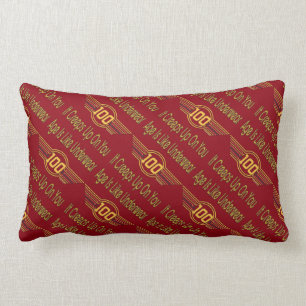 Funny 100th Birthday Gifts - Leeftijd is als onder Kussen