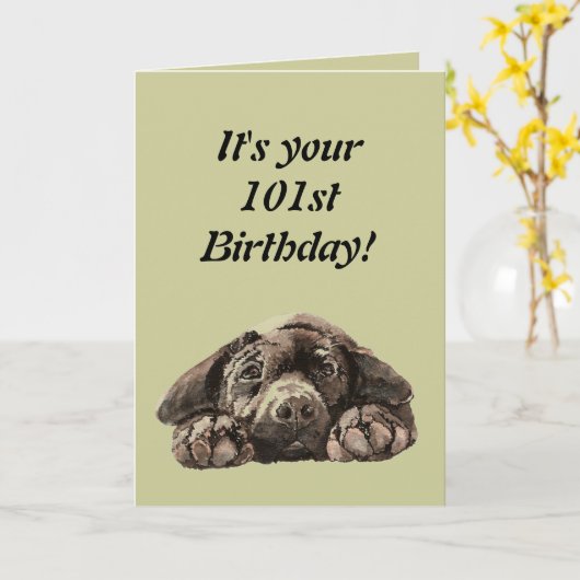 Funny 101st Birthday Customize Labrador Retriever Kaart (Gele Bloem)
