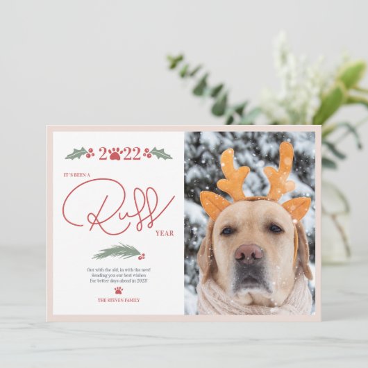 Funny 2022 roff script, pet kerstfoto feestdagenkaart (Staand voorkant)