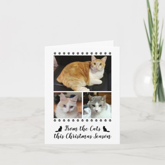 Funny 3 Foto-script van Cat Dog Pet met Kerstmis Feestdagen Kaart (Voorkant)