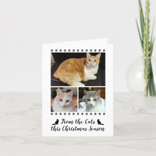Funny 3 Foto-script van Cat Dog Pet met Kerstmis Feestdagen Kaart