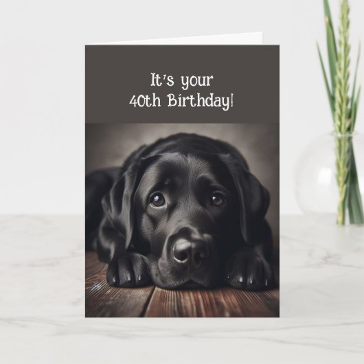 Funny 40th Birthday, Labrador Retriever Kaart (Voorkant)
