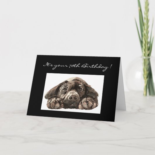 Funny 70th Birthday, Labrador Retriever Kaart (Voorkant)