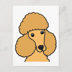 Funny Abriot Poodle Dog Cartoon Briefkaart