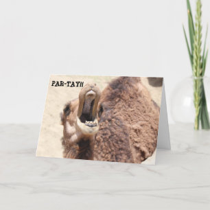 Funny Afstuderen Card, Party Camel Kaart