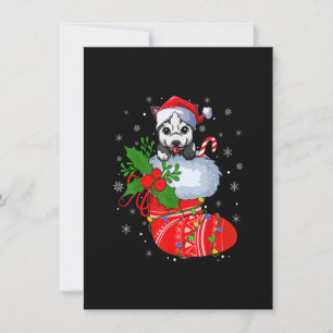 Funny Alaskan Malamute Dog in kerstsokken zant Kaart