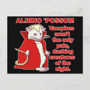 Funny Albino Possum Vampire Animal Briefkaart