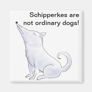 Funny Aloof Schipperke Dog Cartoon Magneet