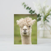 Funny Alpaca Briefkaart (Staand voorkant)