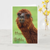 Funny Alpaca carte d'anniversaire (Fleur jaune)