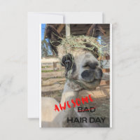 Funny Alpaca Kaart, elke keer dat er een ongeluk g