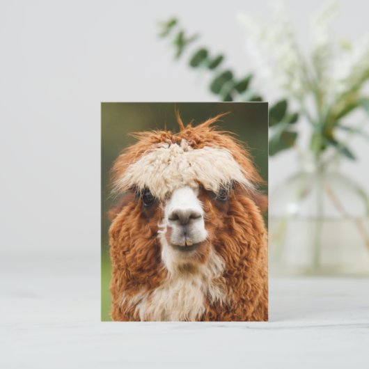 Funny alpaca met grote tanden briefkaart (Staand voorkant)