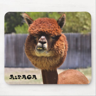 Funny Alpaca Mousepad Muismat