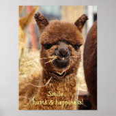 Funny Alpaca Poster (Voorkant)