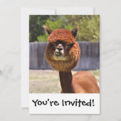 Funny Alpaca Uitnodiging (Voorkant)