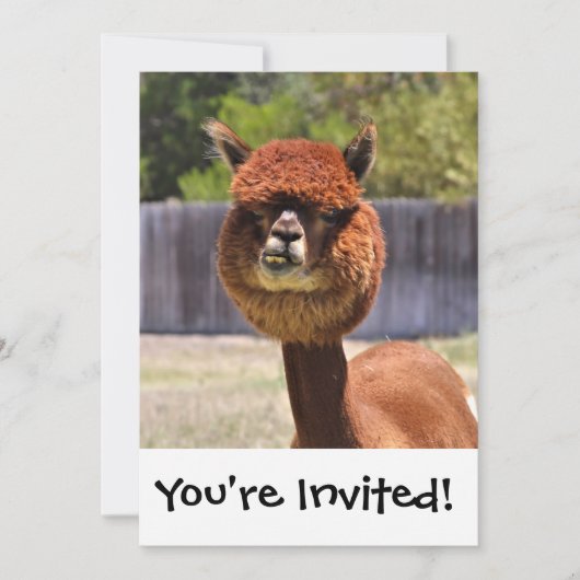 Funny Alpaca Uitnodiging (Voorkant)