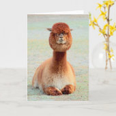 Funny Alpaca Wenskaart Kaart (Gele Bloem)