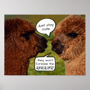Funny Alpacalypse Scheming Poster