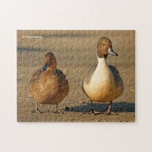 Funny American / Northern Pintail Ducks Gothic Legpuzzel