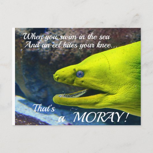 Funny Amore (een Moray) Valentijn Briefkaart (Voorkant)
