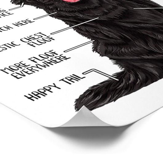 Funny Anatomy Newfoundland Dog Cute Newfie Lover Poster (Hoek)