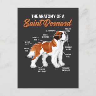 Funny Anatomy of a Saint Bernard Dog Animal Friend Briefkaart