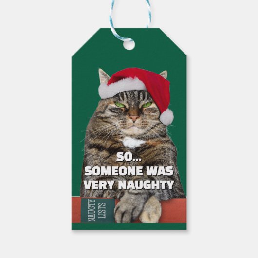 Funny angry cat Christmas  Cadeaulabel (Voorkant)