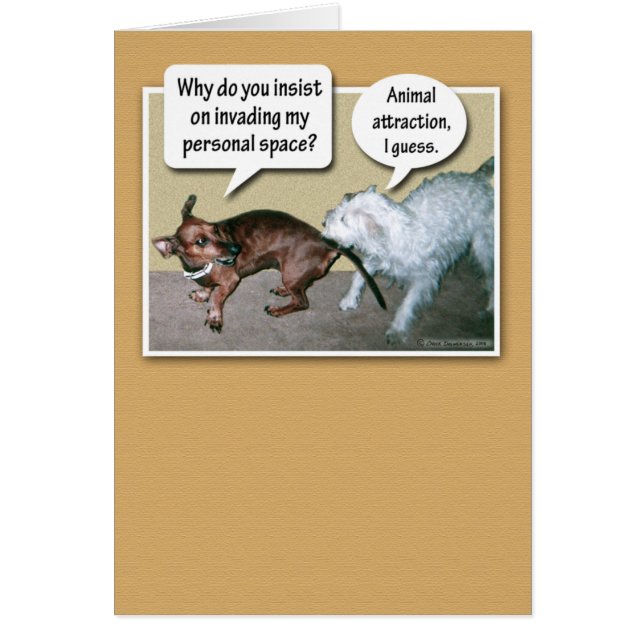 Funny Animal Attraction (Voorkant)