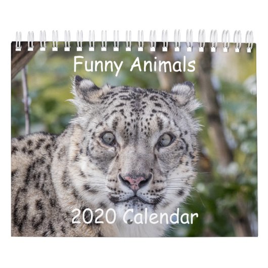 Funny Animal Calendar Kalender (Hoes)