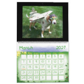 Funny Animal Calendar Kalender (Mar 2027)
