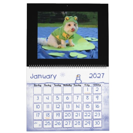 Funny Animal Calendar Kalender (Jan 2027)