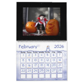 Funny Animal Calendar Kalender (Feb 2026)