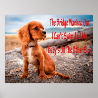 Funny animal memes Dog memes Humoureuze foto's Poster