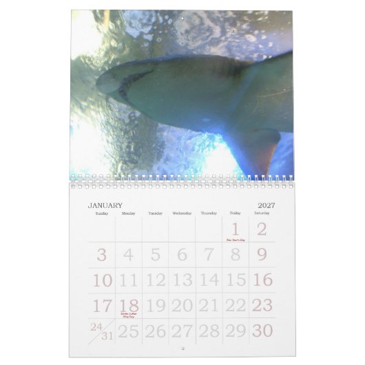Funny Animals 2012-kalender Kalender (Jan 2027)
