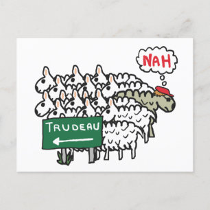 Funny Anti Trudeau Briefkaart