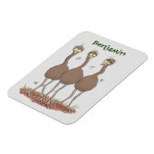 Funny Australian emu trio cartoon illustratie Magneet (Linkerzijde)