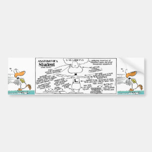 Funny Aviation Duck Bumpersticker