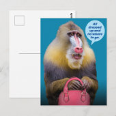 Funny Baboon is helemaal gekleed. Briefkaart (Voorkant / Achterkant)