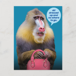 Funny Baboon is helemaal gekleed. Briefkaart
