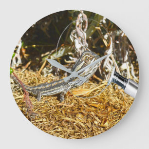 Funny Baby Bearded Dragon, Wall Clock Grote Klok