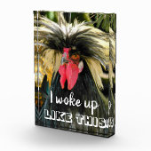 Funny Bad Hair Chicken Meme Fotoblokken (Rechts)