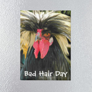 Funny Bad Hair Day Chicken Meme Magneet