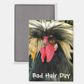 Funny Bad Hair Day Chicken Meme Magneet (Voorkant / Achterkant)